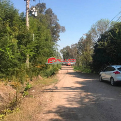 Venta 3 Parcelas 16.000m2 Aprox